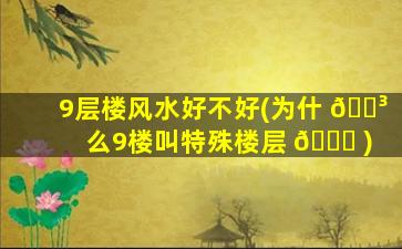 9层楼风水好不好(为什 🌳 么9楼叫特殊楼层 💐 )